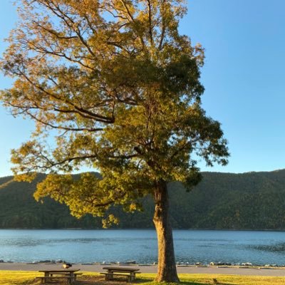 foster_v2's profile picture. this is currently my backup account