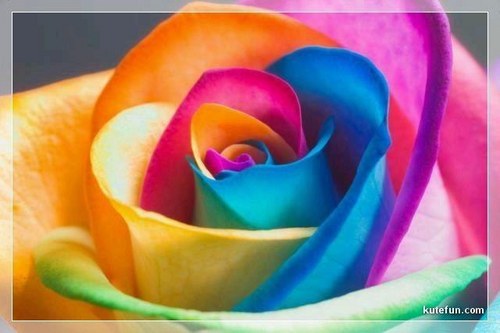 SanDeeD5's profile picture. 