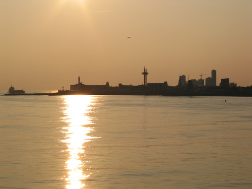 markamai's profile picture. 