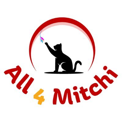 Unleash the purr-fect playtime with All 4 Mitchi's Cat Toys! 😻 #All4Mitchi #Cat #Cats #CatLover #CatsOnTwitter #CatsofTwitter