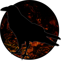 Imara Ravenfire Shocktober Surprise #BLM (@i_know_why_not) 's Twitter Profile Photo Imara Ravenfire Shocktober Surprise #BLM (@i_know_why_not) 's Twitter Profile Photo