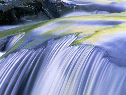 dawnvegan's profile picture. I followback!