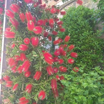 Ruthleon2218's profile picture.