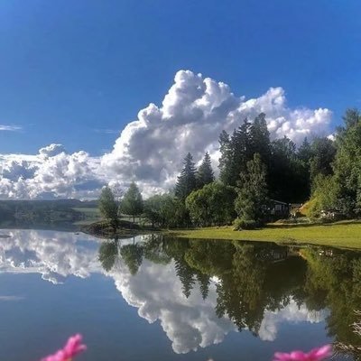 M7k9_'s profile picture. 