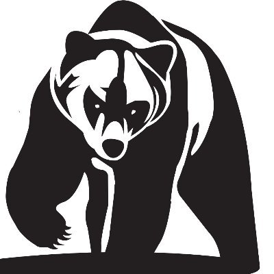 BlackBearCyber's profile picture. Black Bear MSSP is a leader within the IT industry in providing managed IT services, help desk, cybersecurity solutions and regulatory compliance