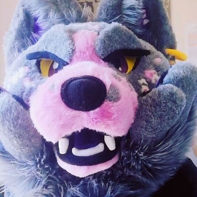Spayさんのプロフィール画像