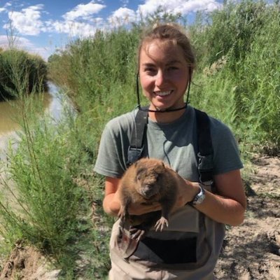 USU grad student studying beaver translocation