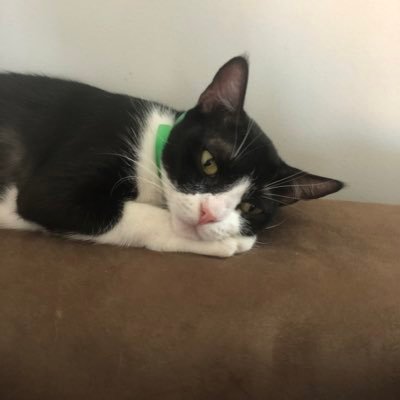 milenal3n4's profile picture. 