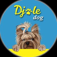 Djole dog(@Djole_dog) 's Twitter Profile Photo