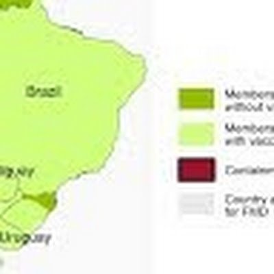 AdapiAmarante's profile picture. 