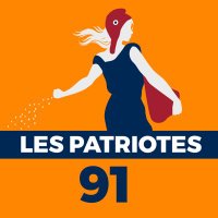 Les Patriotes 91(@LesPatriotes_91) 's Twitter Profile Photo