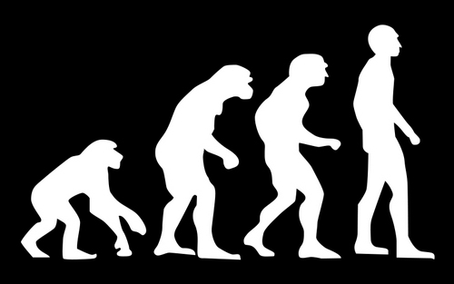 Image_Evolution's profile picture. Independent People Relations Management and Advertising Group.