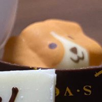 まよね (@mmmm_002) 's Twitter Profile