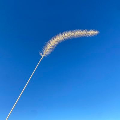 qiyin1107's profile picture. 站远点，别挡住我的太阳！