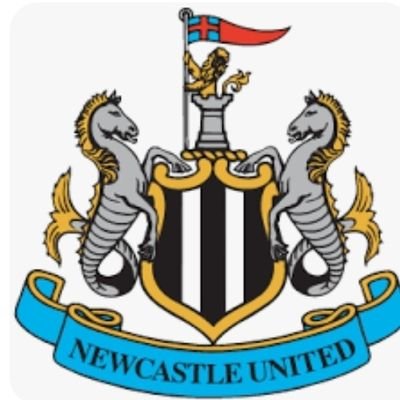 Supermac9malc's profile picture. Newcastle United ⚫️⚪️
futures looking black'white.
Cat 1 Golfer ⛳️🏌