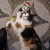 Baba Yagas Mama🏴🐒🦄🦁🇵🇸 (@gryffenstrong) Twitter profile photo Baba Yagas Mama🏴🐒🦄🦁🇵🇸 (@gryffenstrong) Twitter profile photo