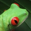 David Augé - @arale17833 - Twitter