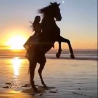 BRISA MARIA (@mariagroa53) 's Twitter Profile