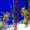 Andy - @Andy_Goh - Twitter