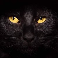 your favorite boi (@yourfavorateboi) 's Twitter Profile Photo your favorite boi (@yourfavorateboi) 's Twitter Profile Photo
