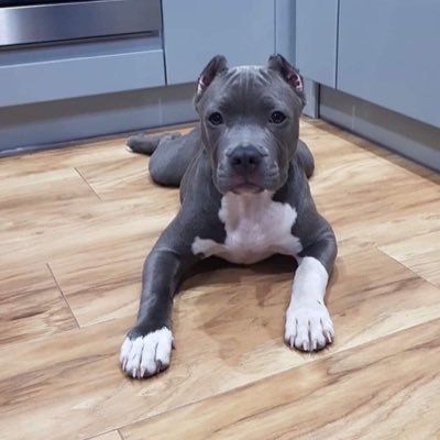 VerdhiSQ's profile picture. 15x Go4 | y1 |play for |2x Lan