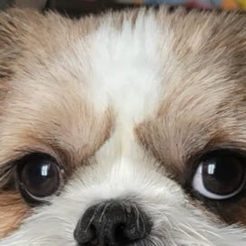 Im0hee1226's profile picture. 김뫄