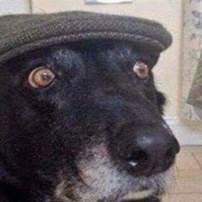 LuisAndresEsqu7's profile picture. compa amigo de los buenos