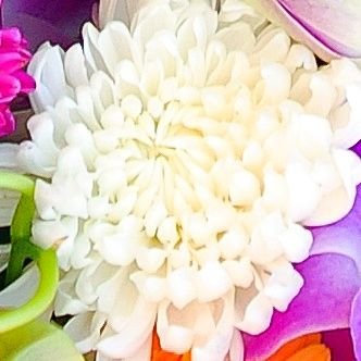 tnJIsxjunKNgLcM's profile picture. 