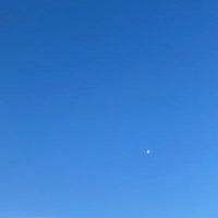 かりふぁ2 (@renkun_klove) 's Twitter Profile Photo