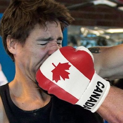 🇨🇦 🇮🇹 🇺🇸 🍕🏒🏈⛳Apologies in advance if my opinions or sarcasm offends you! #Trudeaumustgo