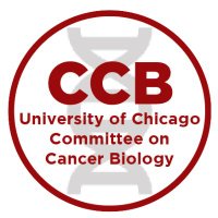UChicago Committee on Cancer Biology(@UChicagoCCB) 's Twitter Profileg