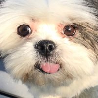 Kenneth M. (@bassmannh) 's Twitter Profile Photo