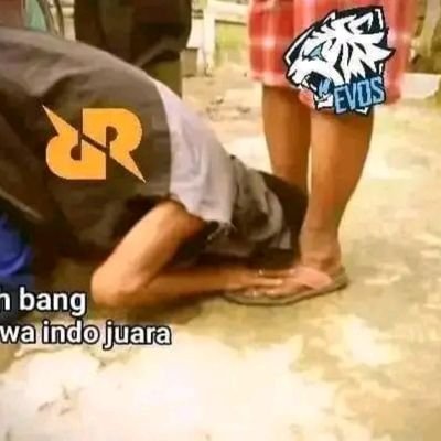 palphin94's profile picture. 