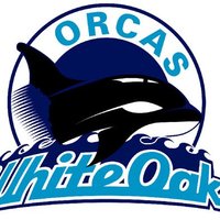 White Oaks Public School(@WOorcas) 's Twitter Profile Photo