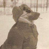 nodoph (@nodoph) 's Twitter Profile