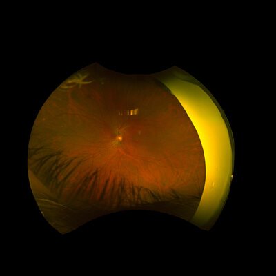 mcpb.bandcamp.com Profile