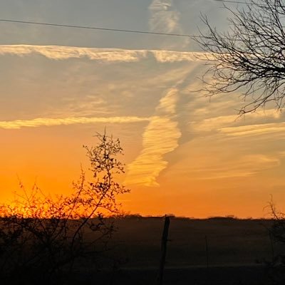 STX8899's profile picture. Texas, my freedom doesn’t want yours taken away. Love God, and your neighbor as you would yourself. Beach, Ranch, Scuba, Fishing, All things outside. #sunset