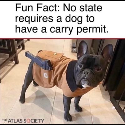 larrysaysFJB's profile picture. WWG1WGA pure blood and proud Here to talk shit mainly oh and TRUMP had more votes in the end GOD WINS! no DMs IFBAP!