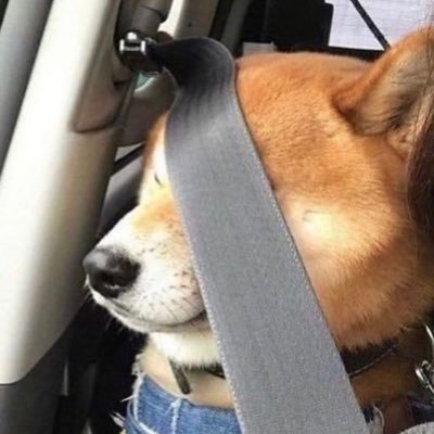 stannewone's profile picture. 