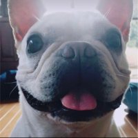 マロン🐸📕🗻 (@maron145891) 's Twitter Profile Photo マロン🐸📕🗻 (@maron145891) 's Twitter Profile Photo