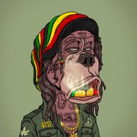 Pushthekush🍄🍄(@Pushthekush2) 's Twitter Profile Photo