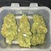 Fransteburg Jhon (@francannabis420) Twitter profile photo Fransteburg Jhon (@francannabis420) Twitter profile photo