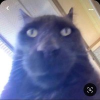harry@beanpeepee (@beanpeepee4) 's Twitter Profile