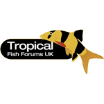 We have Members with many decades of fishkeeping experience and Members who are just starting out : our youngest at the moment is just ten years old.