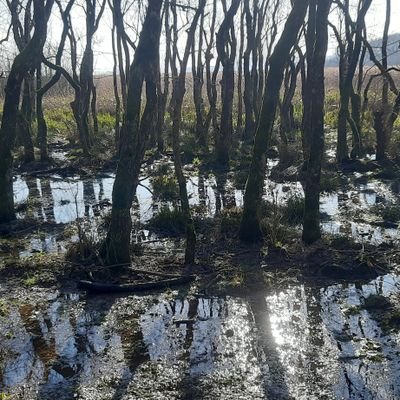 ozkaya1759's profile picture. 