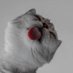 Sunsu (@jmssuu) Twitter profile photo Sunsu (@jmssuu) Twitter profile photo