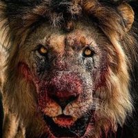 Patrick Skowronski (@skipatrick30) 's Twitter Profile