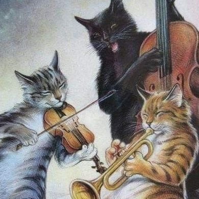 flammcats's profile picture. ,, °Jj ꒱ : キ
#studytwt