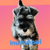 inu_inu_howl(@InuInuHowl) 's Twitter Profile Photo