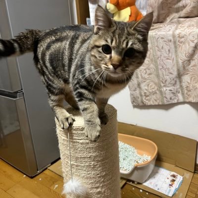 PMb6QhCYVeYB0HJ's profile picture. 